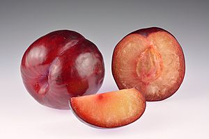 Plums African Rose - whole, halved and slice.jpg