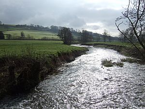 River Yarty - flowing downstream - geograph.org.uk - 427149