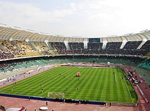 Stadio San Nicola Bari 2009