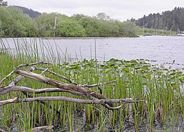 Tenmile Lake (Oregon).jpg