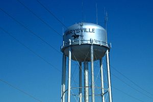 Marysville water tower (2009)