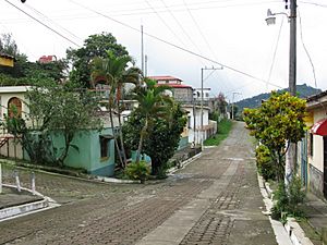 Jayaque Street 01