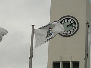 Palmerston North City Flag (Displayed)