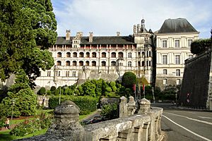 Château de Blois-1