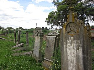 Headstones at Maitland Jewish Cemetery