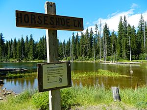 Horseshoe Lake Sign