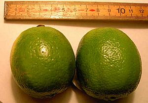 Lime frugter