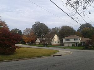 Houses in Hollindale, November, 2014