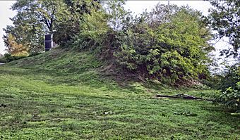 Sugar Loaf Mound at 4420 Ohio in St Louis MO 21.jpg
