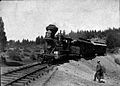 A Nevada County Narrow Gauge Railroad passenger train rounds the curve. Searls LIbrary