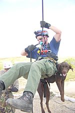 CBT Canine Enforcement Program