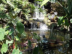 Fountain Marie Selby Botanical Gardens