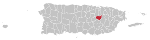 Map of Puerto Rico highlighting Aguas Buenas Municipality