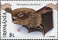 Miniopterus schreibersii 2016 stamp of Romania