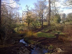 Water Garden in Golders Hill Park