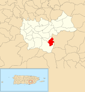Location of Culebras Alto within the municipality of Cayey shown in red