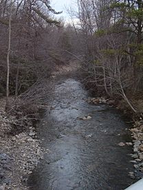 Nesq Creek 1