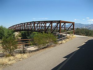 Oro Valley CDO Trail Bridge