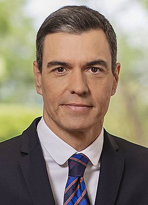 Pedro Sánchez in 2023.jpg