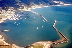 Pillar Point Harbor aerial view