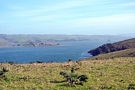 Tomales Bay as viewed from Tomales Point Trail 4.JPG