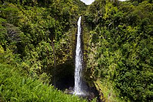 Akakafalls-hawaii