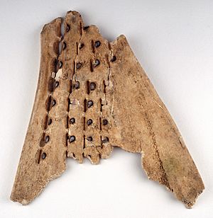 Chinese oracle bone (16th-10th C BC) - BL Or. 7694