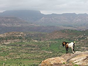 Ethiopian Highlands 01