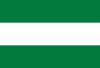 Flag of Santa Cruz de la Sierra