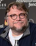 Guillermo del Toro in 2017
