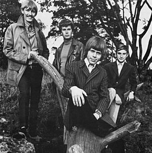 Hootenanny singers 1967