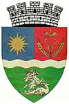 Coat of arms of Băileşti