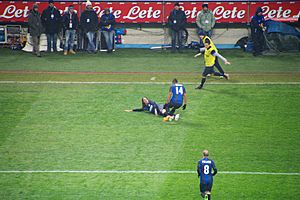 Schelotto goal celebration Inter-Milan february 2013 01
