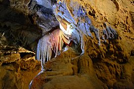 Shasta Caverns6