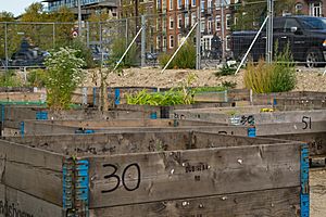 Urban agriculture in Amsterdam