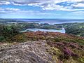 View From The Hilltop at Lough Hyne - Ed Fitzgerald