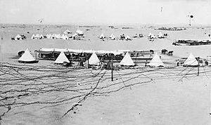 Australian camp near Romani circa 1916 AWM photo A02435