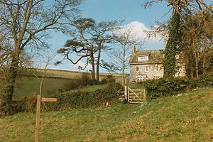 Bridleway by Efford House, 1996-geograph-3391607
