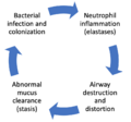 Bronchiectasis Vicious Cycle Pathogenesis