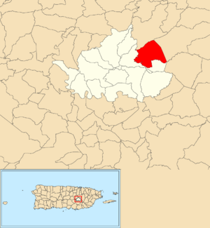 Location of Certenejas within the municipality of Cidra shown in red