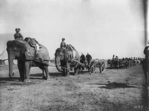 Elephant battery of heavy artillery along the Khyber Pass at Campbellpur LCCN2004707363
