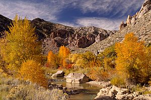 Fall in Utah (15719143625)