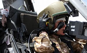 Female Apache Pilot MOD 45151297