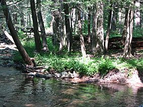 Fowlers Hollow State Park.jpg