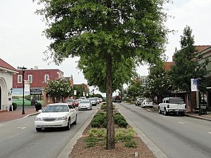 Lexington, SC Main Street View