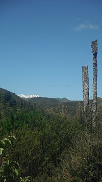Mount Ruapehu in the Ruapehu District along Ruatiti Road