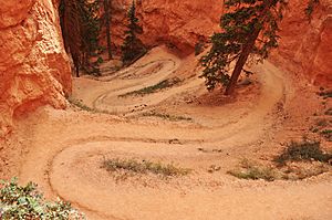 Peek-A-Boo trail, Bryce Canyon