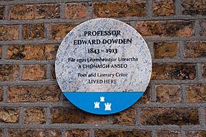 Professor Edward Dowden 1