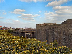 Redoubt Fortress - geograph.org.uk - 1739731