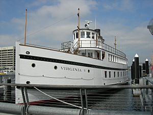 Virginia V 01